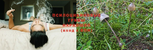 мескалин Апатиты