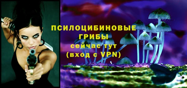 гидропоника Липки